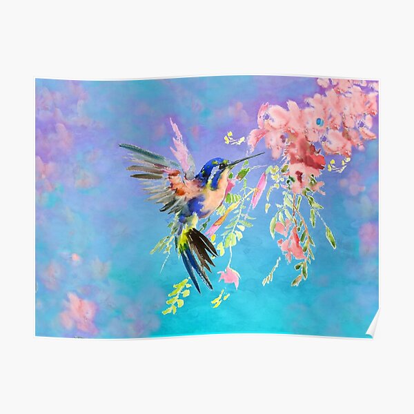 Colorful Hummingbird Poster