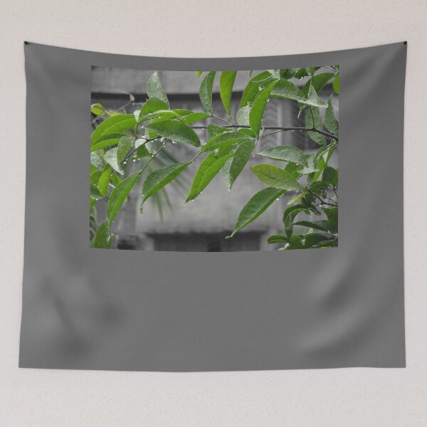Item preview, Fresh Drops designed and sold by RiaanaDCircle.