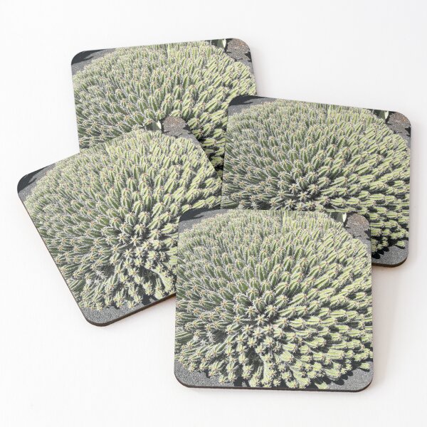 Item preview, Euphorbia Cactus designed and sold by PPFImages.