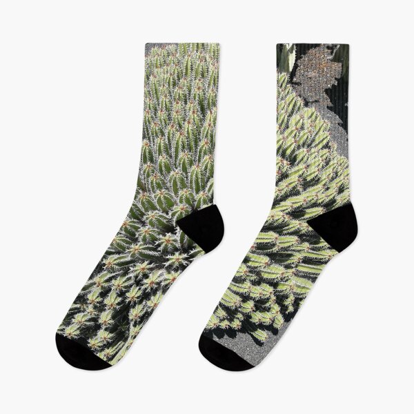 Item preview, Euphorbia Cactus designed and sold by PPFImages.