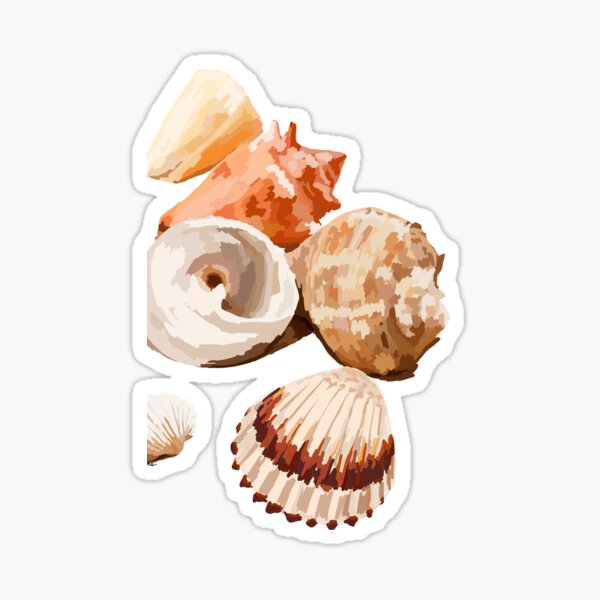Seashells Sticker