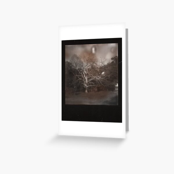 Item preview, the ancient designed and sold by Jill Auville.