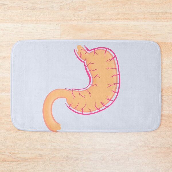 Item preview, minimalistic stomach illustration | anatomy designed and sold by acatalepsys.