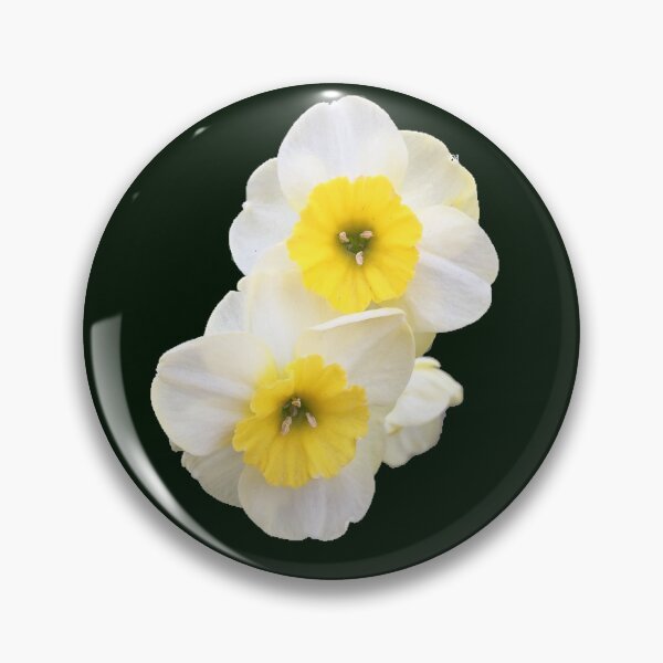 Item preview,  Twin Daffodils  designed and sold by Amanda1775.