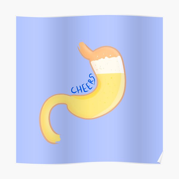 "beer stomach illustration anatomy, joke" Poster by acatalepsys