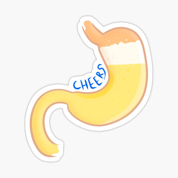 "beer stomach illustration anatomy, joke" Sticker for Sale by