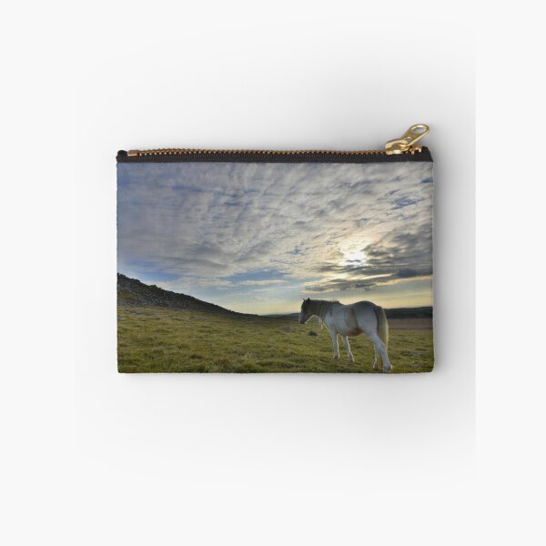 Item preview, Cornwall: Lone Pony designed and sold by Rob Parsons (Just a Walker with a Camera).