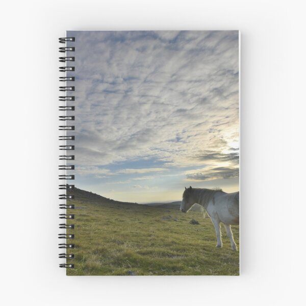 Item preview, Cornwall: Lone Pony designed and sold by Rob Parsons (Just a Walker with a Camera).
