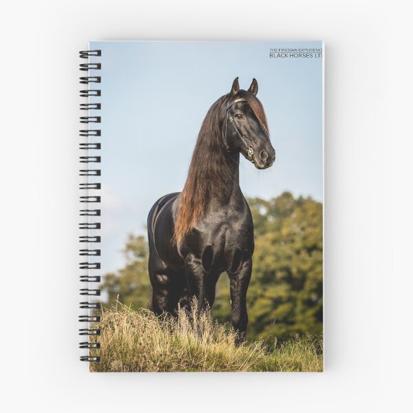 Item preview, The Friesian Experience - Stallion Droomie designed and sold by Blackhorsesltd.