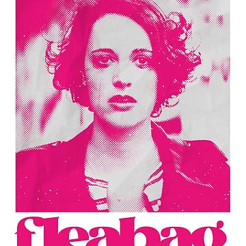 Imagen de la obra Bolsa de pulgas por el puente Phoebe Waller de its-ella