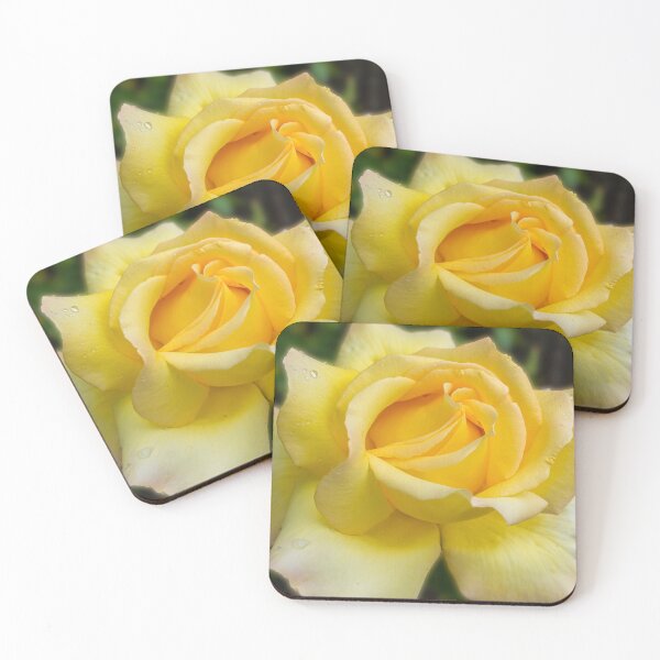 Item preview, Yellow rose designed and sold by iCimages.net.