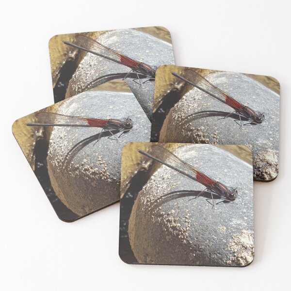 Item preview, Dragonfly on rock designed and sold by oTECHu.