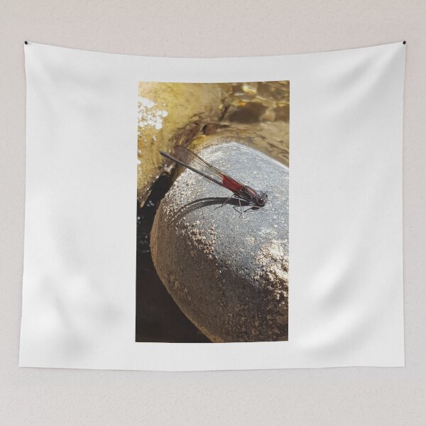 Item preview, Dragonfly on rock designed and sold by oTECHu.