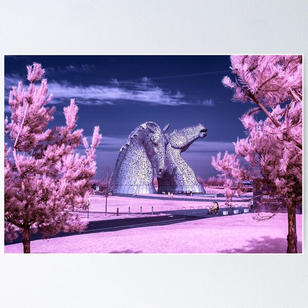 Item preview, Kelpies designed and sold by LeiperPhoto.