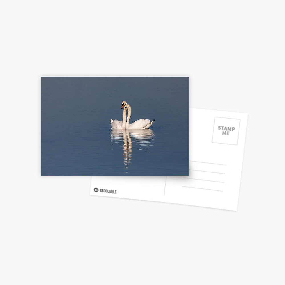 Item preview, Postcard designed and sold by AYatesPhoto.