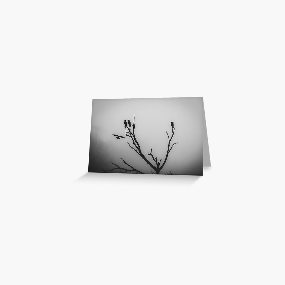 Item preview, Greeting Card designed and sold by AYatesPhoto.
