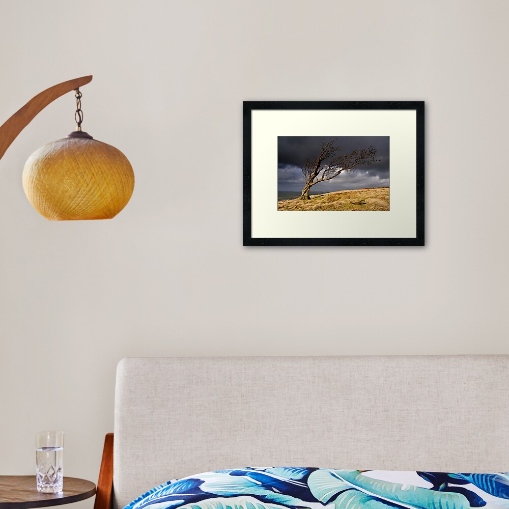 Item preview, Framed Art Print designed and sold by sjbowen.