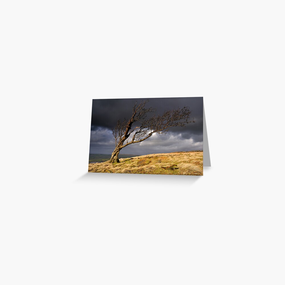 Item preview, Greeting Card designed and sold by sjbowen.