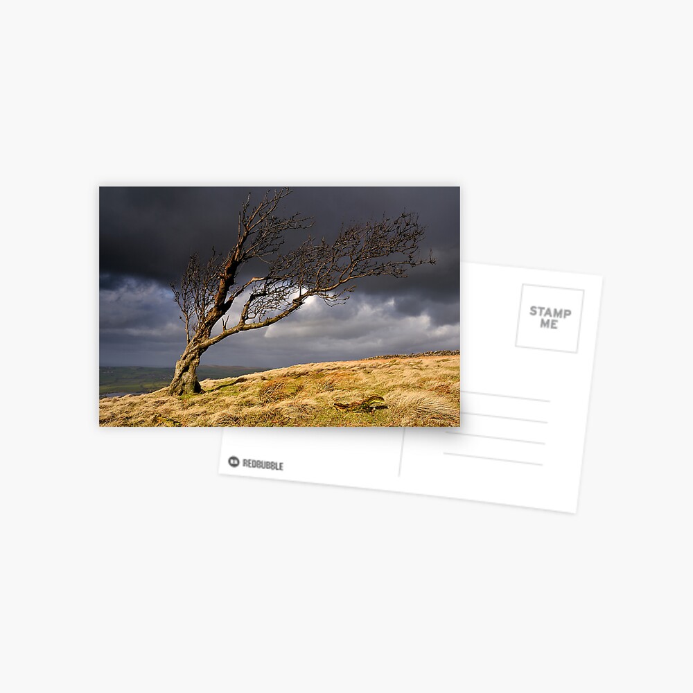 Item preview, Postcard designed and sold by sjbowen.