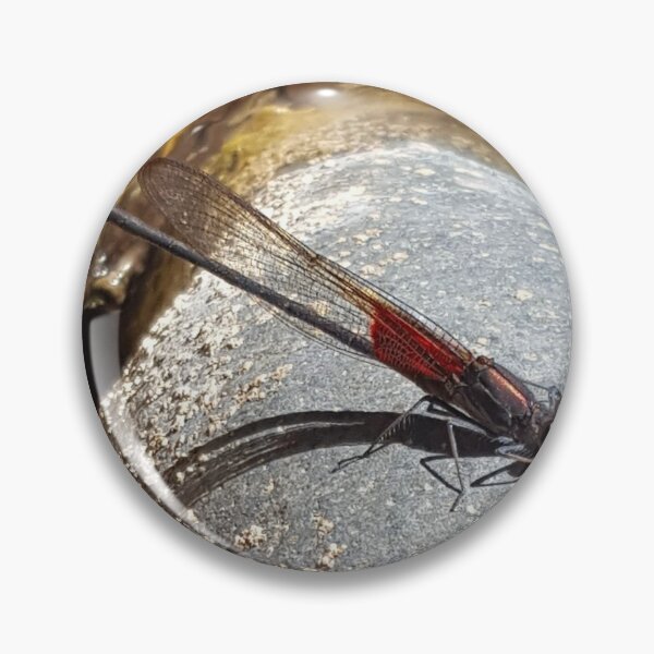 Item preview, Dragonfly on rock designed and sold by oTECHu.