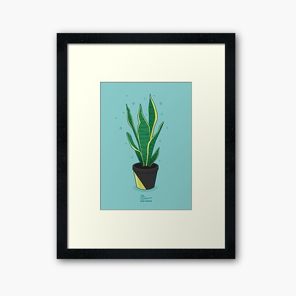 snake plant Framed Art Print