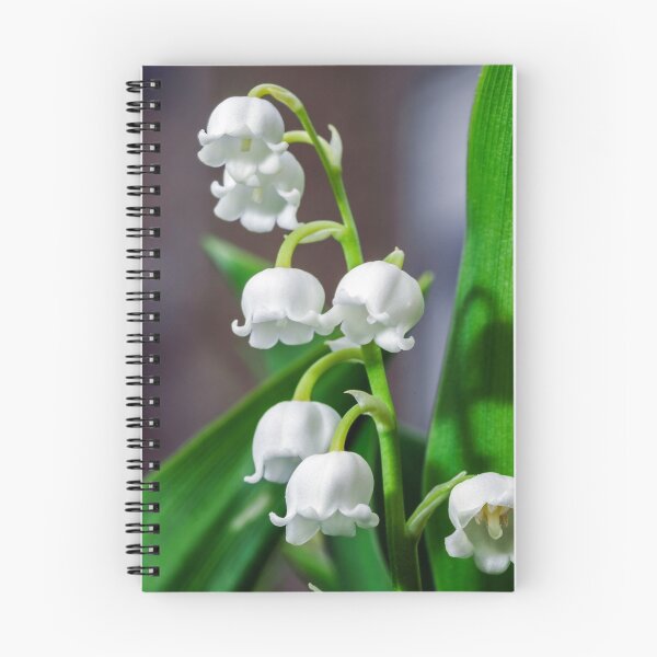 Item preview, Beautiful muguet on the spring sun, macro view designed and sold by Alexander Sorokopud.