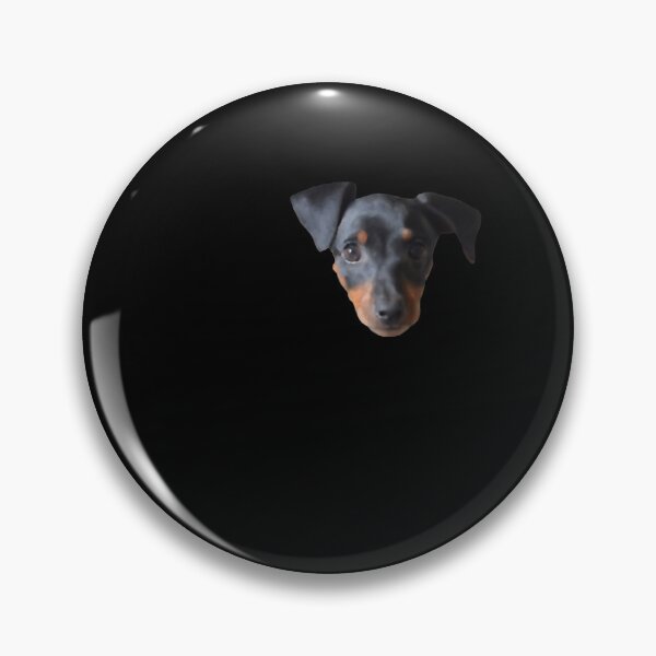 Artikelvorschau, Aquarell Miniatur Pinscher entworfen und verkauft von JWDesigns777.