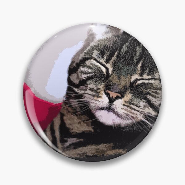 Sleepy Kitty Art Pin