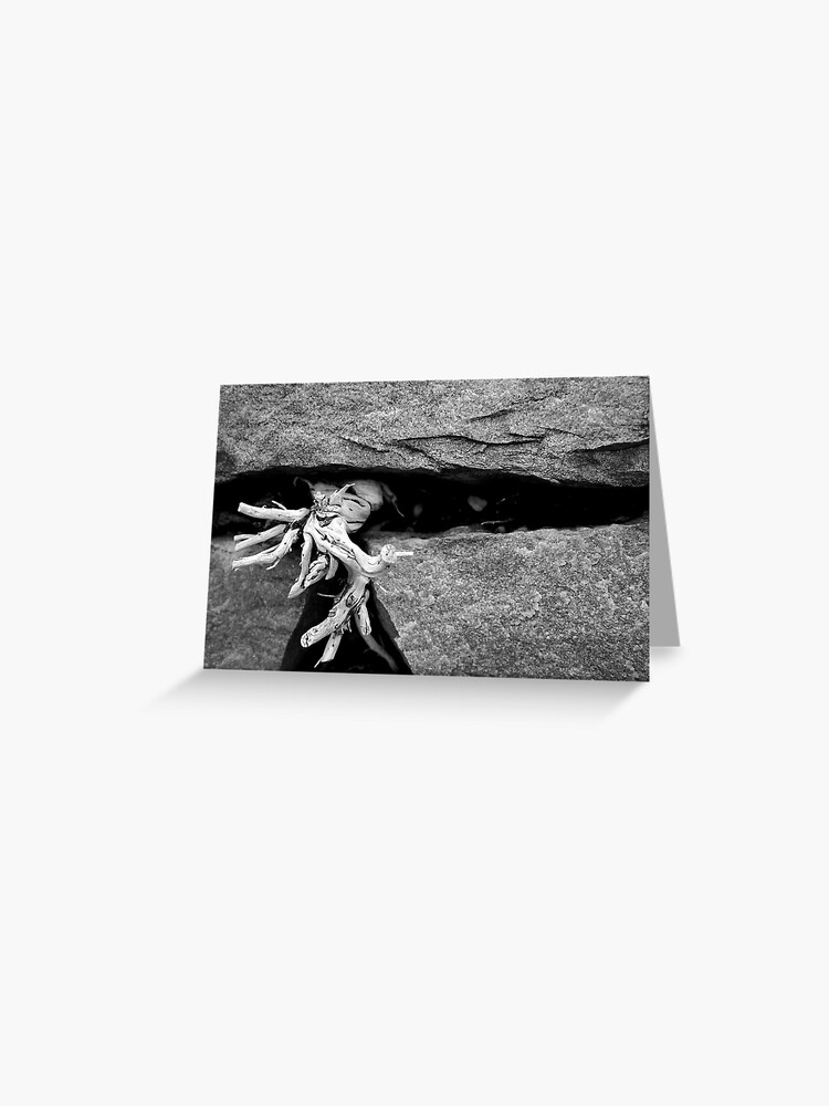 Thumbnail 1 of 2, Greeting Card, To twist another day designed and sold by littleoldhag.