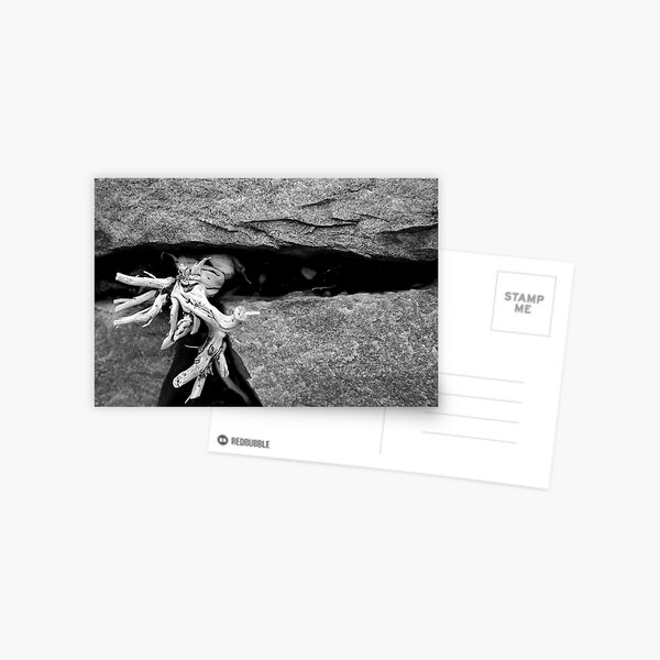 To twist another day Postcard