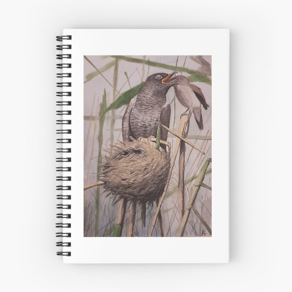 Item preview, Cuckoo chick with reed warbler parent, watercolor designed and sold by Ettore Anzalone.