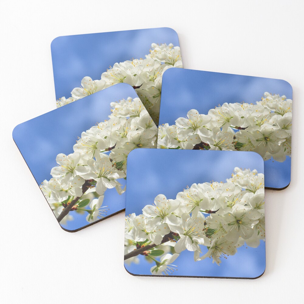 Item preview, Coasters (Set of 4) designed and sold by RufderFreiheit.