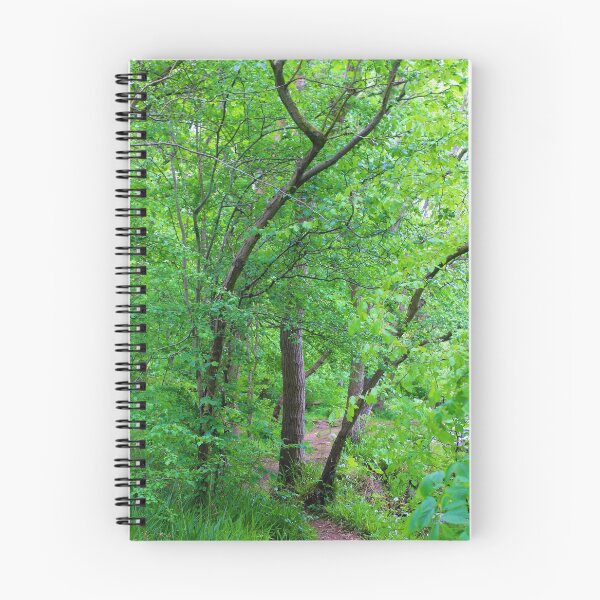 Aperçu de l'œuvre Le long du chemin, il y a du vert créée et vendue par dredfell.