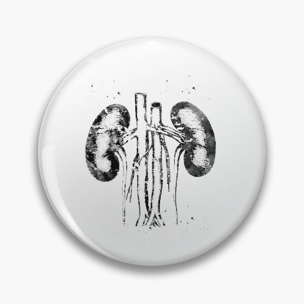 Item preview, Kidneys anatomy  designed and sold by Liededrom..