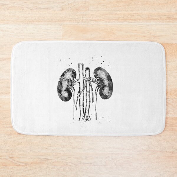 Item preview, Kidneys anatomy  designed and sold by Liededrom..