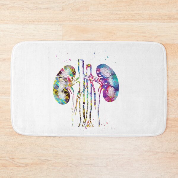 Item preview, Kidneys anatomy designed and sold by Liededrom..