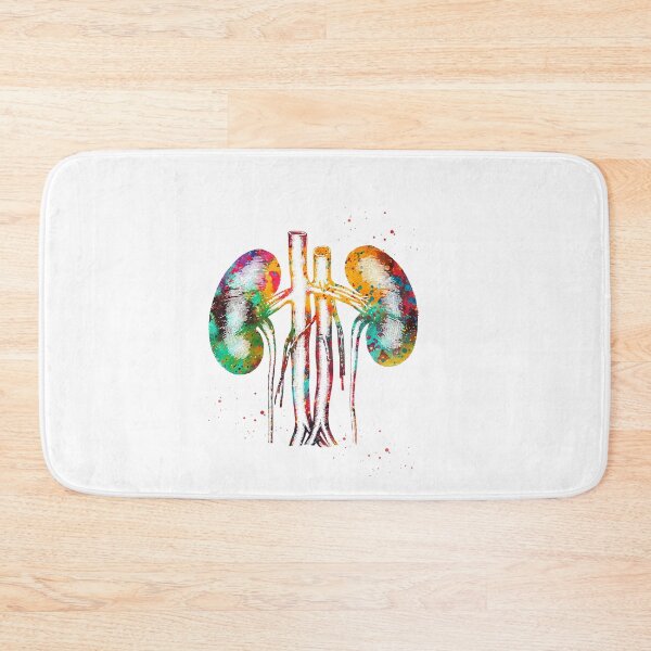 Item preview, Kidneys anatomy  designed and sold by Liededrom..