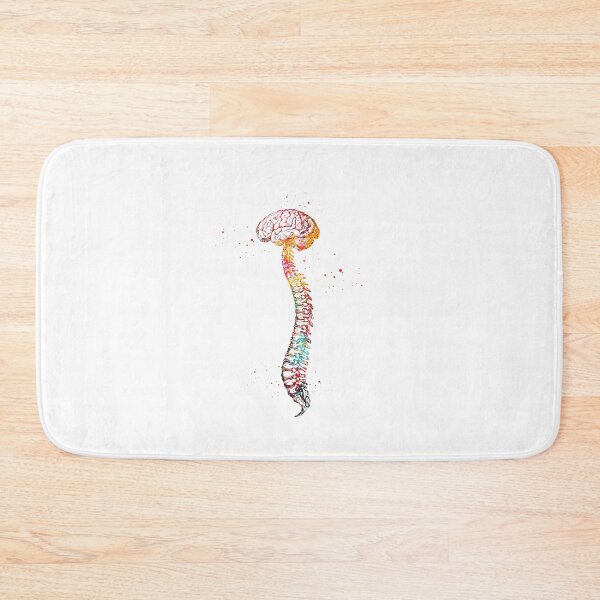 Item preview, Human Spine with Brain designed and sold by Liededrom..