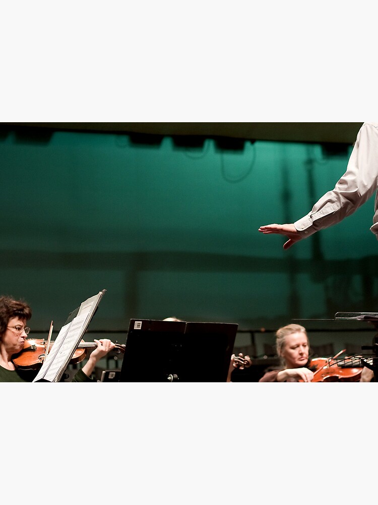 The Conductor by rogues70