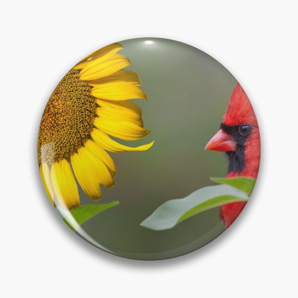 Item preview, Bloom where you're planted designed and sold by Bonnie T.  Barry.