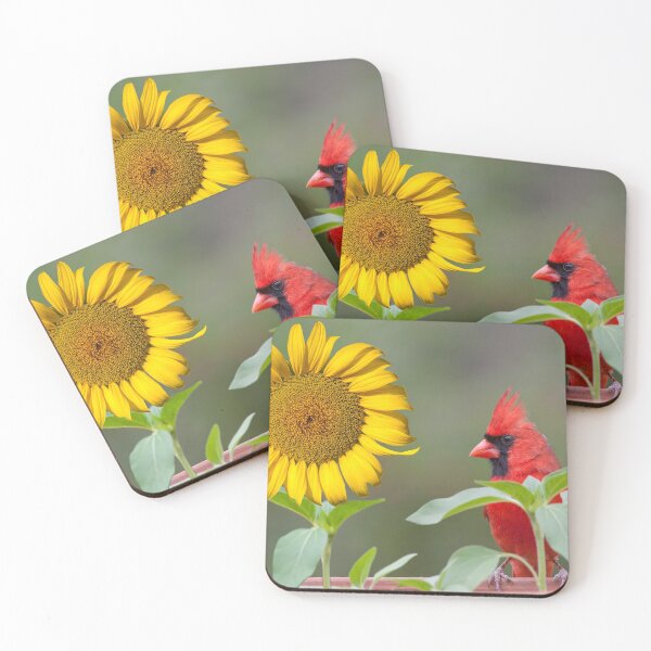 Item preview, Bloom where you're planted designed and sold by Bonnie T.  Barry.