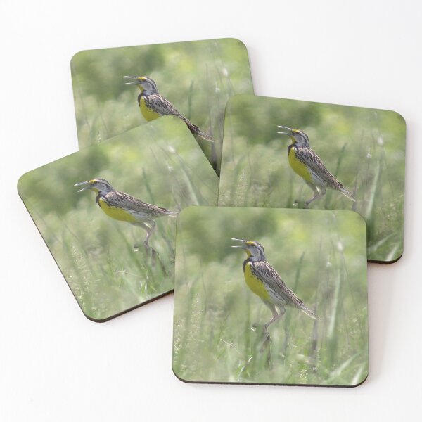 Item preview, Eastern Meadowlark designed and sold by Pauline Catling.