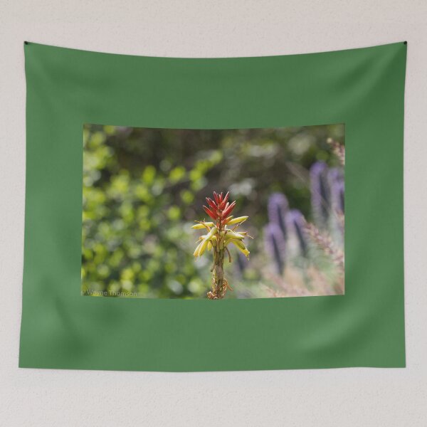 Item preview, Succulent designed and sold by Wayne Thomson.