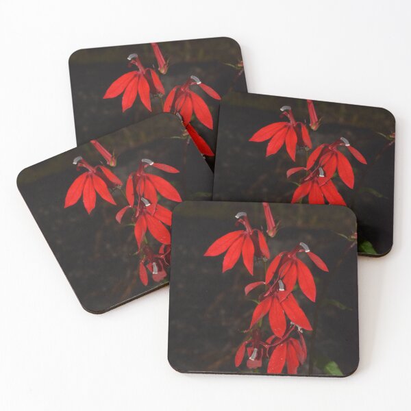 Item preview, Cardinal Flower (Lobelia cardinalis) designed and sold by Pauline Catling.