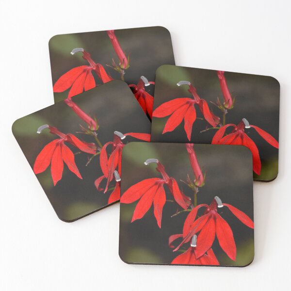 Item preview, Cardinal Flower (Lobelia cardinalis) designed and sold by Pauline Catling.