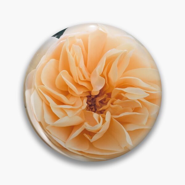 Item preview, Tea rose designed and sold by babibell.