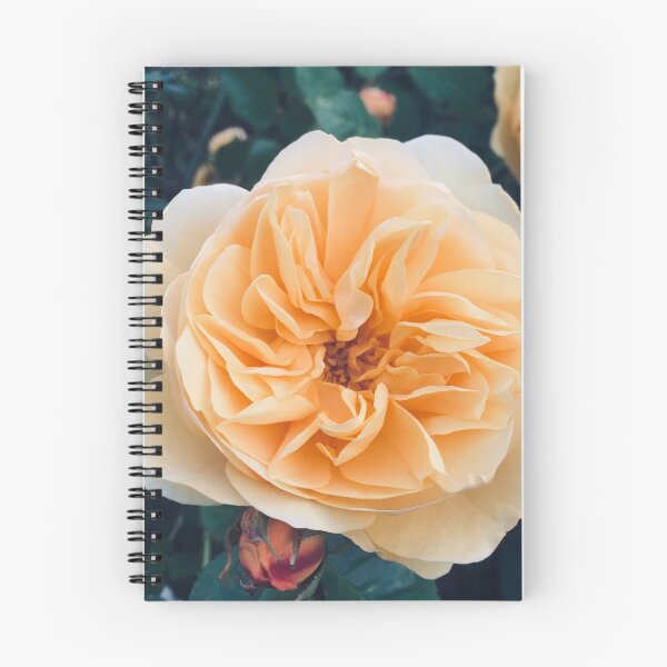 Item preview, Tea rose designed and sold by babibell.