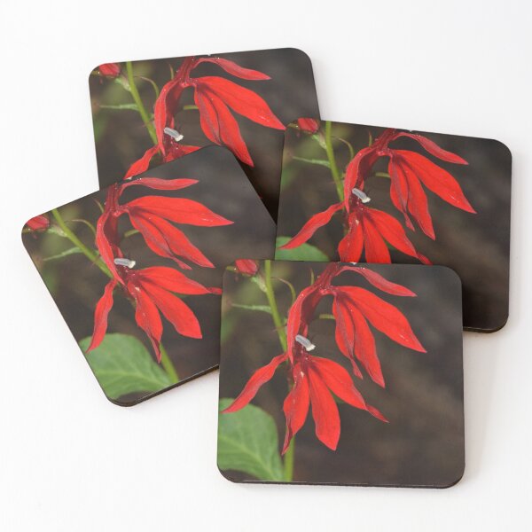Item preview, Cardinal Flower (Lobelia cardinalis) designed and sold by Pauline Catling.