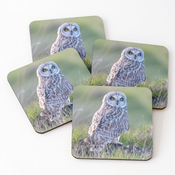 Item preview, what you looking at designed and sold by tammy mellor.