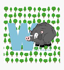 w for wild board Photographic Print